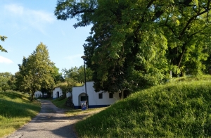 Sklepy v Plžích 3